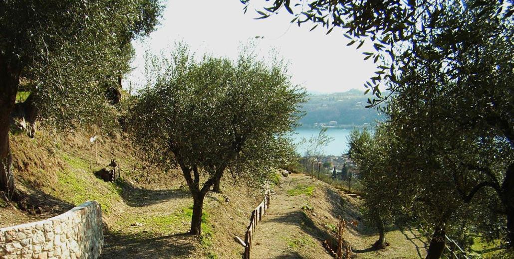 Agriturismo Villa Bissiniga Saló Exterior foto